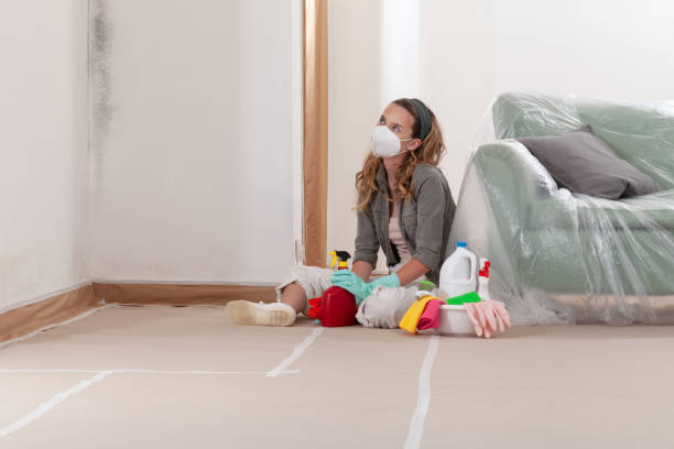 Reliable Mold Remediation contractor in Glen Rock, PA by WQB Mold Removal