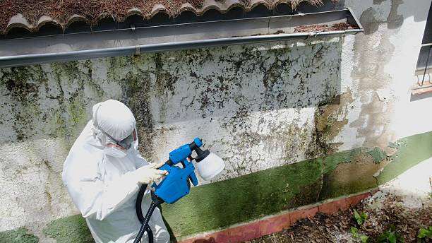 Top rated local Mold Remediation specialists in Glen Rock, PA